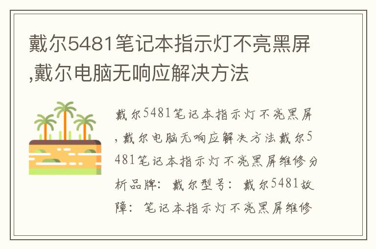 戴尔5481笔记本指示灯不亮黑屏,戴尔电脑无响应解决方法 戴尔5481笔记本指示灯不亮黑屏,戴尔电脑无响应解决方法