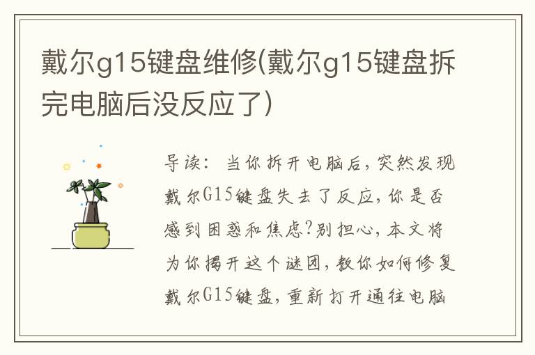 戴尔g15键盘维修(戴尔g15键盘拆完电脑后没反应了)