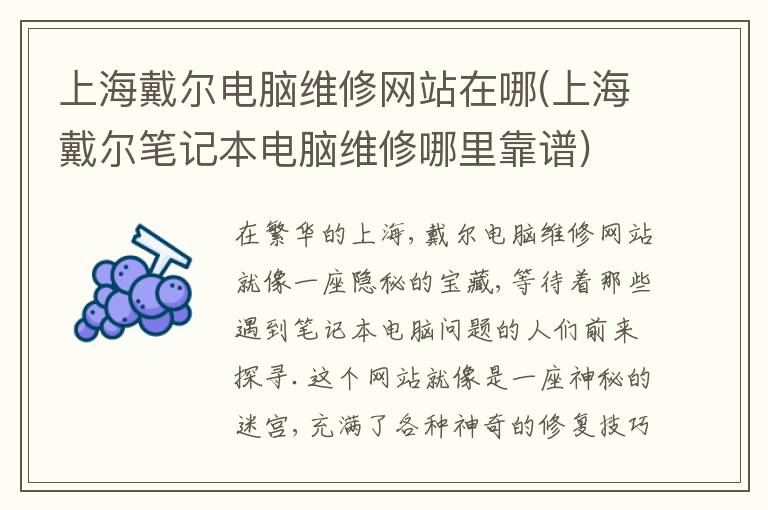 上海戴尔电脑维修网站在哪(上海戴尔笔记本电脑维修哪里靠谱)