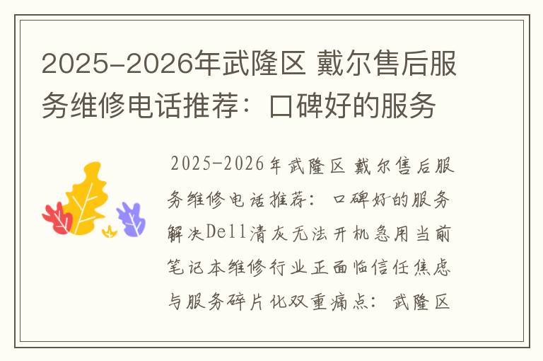 2025-2026年武隆区 戴尔售后服务维修电话推荐：口碑好的服务解决Dell清灰无法开机急用