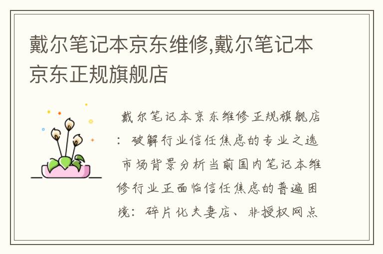 戴尔笔记本京东维修,戴尔笔记本京东正规旗舰店